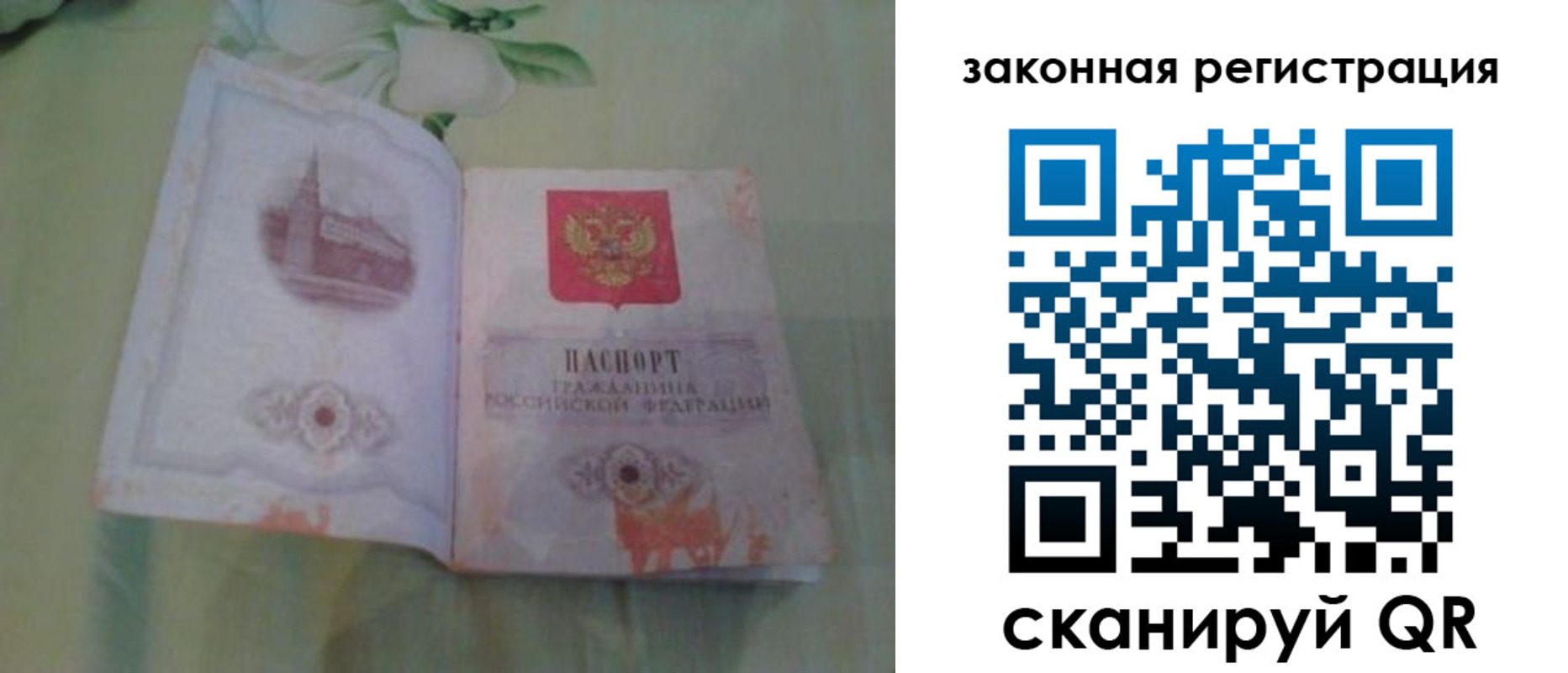 прописка в Людиново